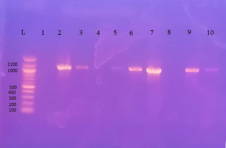 https://cdn.ncbi.nlm.nih.gov/pmc/blobs/02dc/12259763/958abda46053/11686_2025_1079_Fig1_HTML.jpg