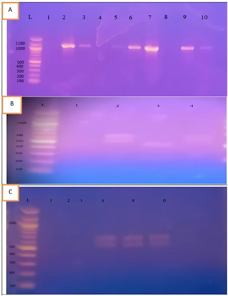 https://cdn.ncbi.nlm.nih.gov/pmc/blobs/02dc/12259763/a7b7fd4f5913/11686_2025_1079_Fig2_HTML.jpg