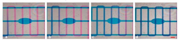 https://cdn.ncbi.nlm.nih.gov/pmc/blobs/02dc/7912382/1a42e23cabb4/micromachines-12-00104-g007.jpg