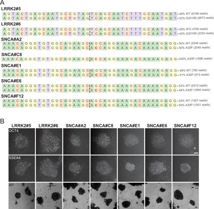 https://cdn.ncbi.nlm.nih.gov/pmc/blobs/02de/9584603/253c3a713ce1/elife-79208-fig1-figsupp3.jpg