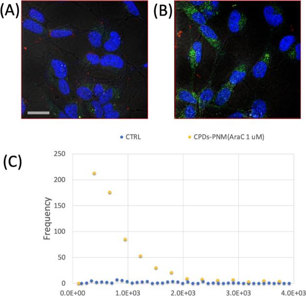 https://cdn.ncbi.nlm.nih.gov/pmc/blobs/02e0/9906628/e36beaa81bfc/am2c22500_0011.jpg