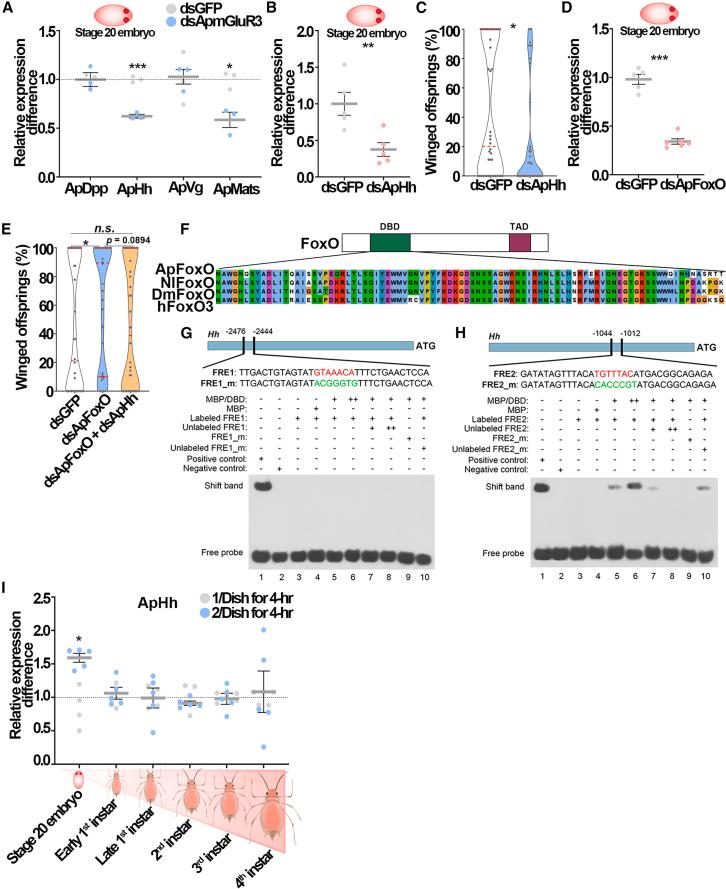 https://cdn.ncbi.nlm.nih.gov/pmc/blobs/02e2/12145829/605042c7c2c1/gr5.jpg