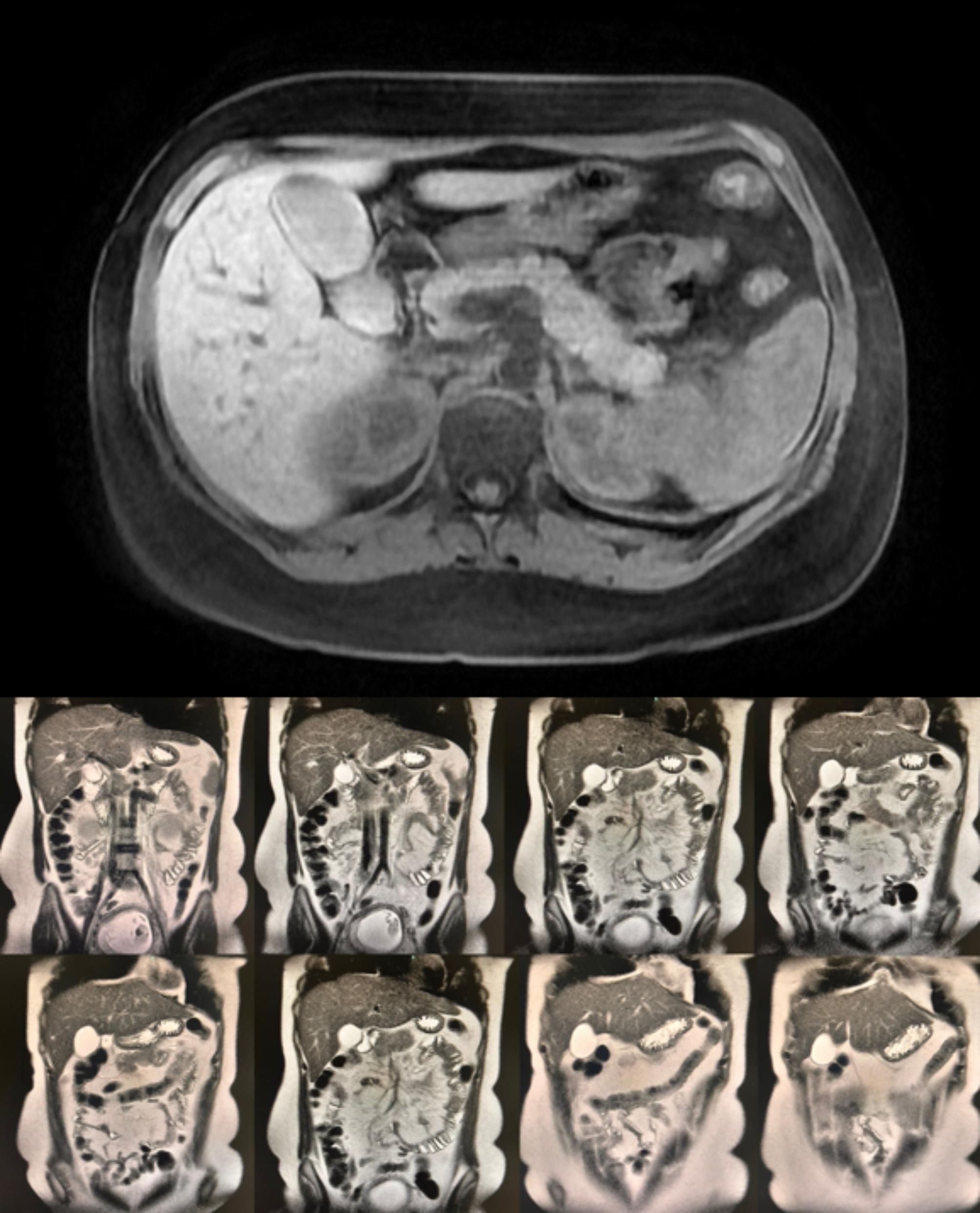 https://cdn.ncbi.nlm.nih.gov/pmc/blobs/02e3/11566482/0a056469b279/12884_2024_6969_Fig3_HTML.jpg