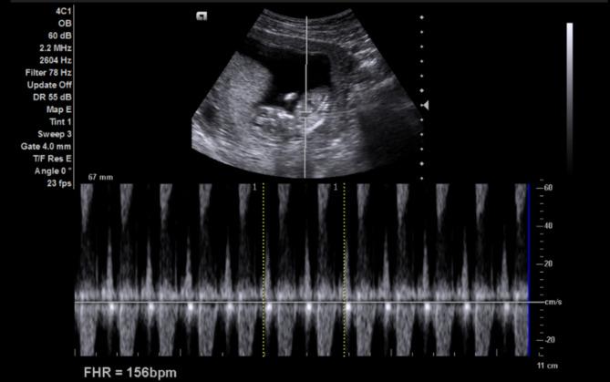 https://cdn.ncbi.nlm.nih.gov/pmc/blobs/02e3/11566482/52d2598696fe/12884_2024_6969_Fig2_HTML.jpg