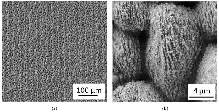 https://cdn.ncbi.nlm.nih.gov/pmc/blobs/02e6/8160909/db327a081d6b/nanomaterials-11-01342-g003.jpg