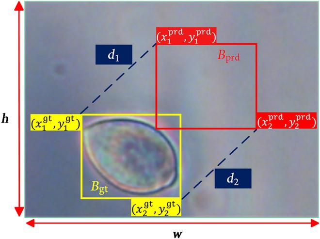 https://cdn.ncbi.nlm.nih.gov/pmc/blobs/02e8/11387751/9edd47f880ab/plantphenomics.0246.fig.008.jpg
