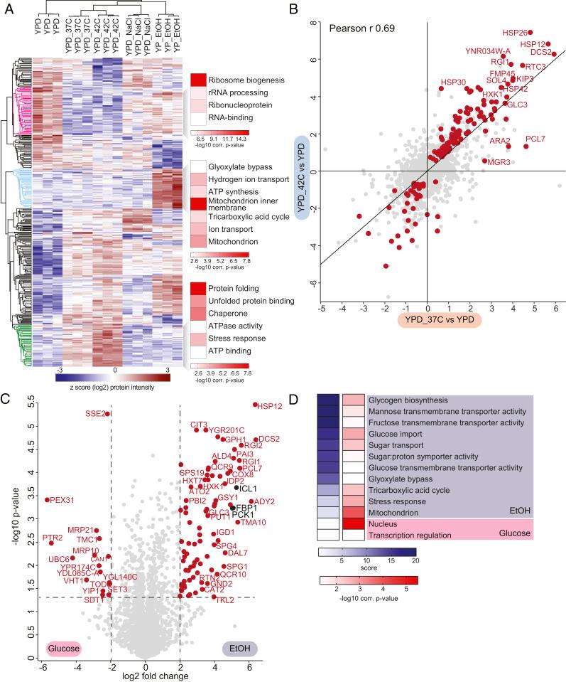 https://cdn.ncbi.nlm.nih.gov/pmc/blobs/02e9/7768684/0375b9631945/pnas.2020197117fig02.jpg