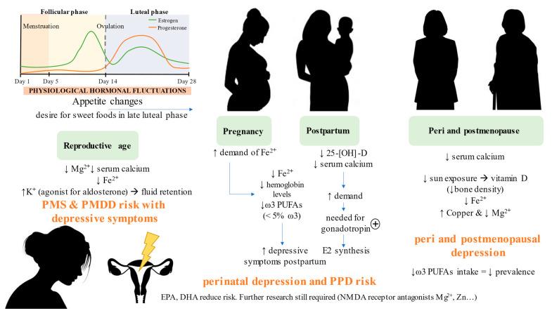 https://cdn.ncbi.nlm.nih.gov/pmc/blobs/02e9/8912662/cde680fe14bc/nutrients-14-01107-g003.jpg