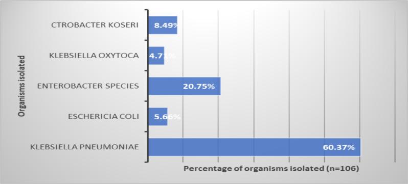 https://cdn.ncbi.nlm.nih.gov/pmc/blobs/02ea/11111212/900f8cff9fd1/EJHS3305-0743Fig1.jpg