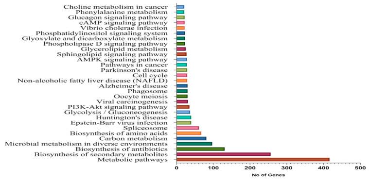 https://cdn.ncbi.nlm.nih.gov/pmc/blobs/02eb/7290383/f9641cb97432/genes-11-00472-g006.jpg