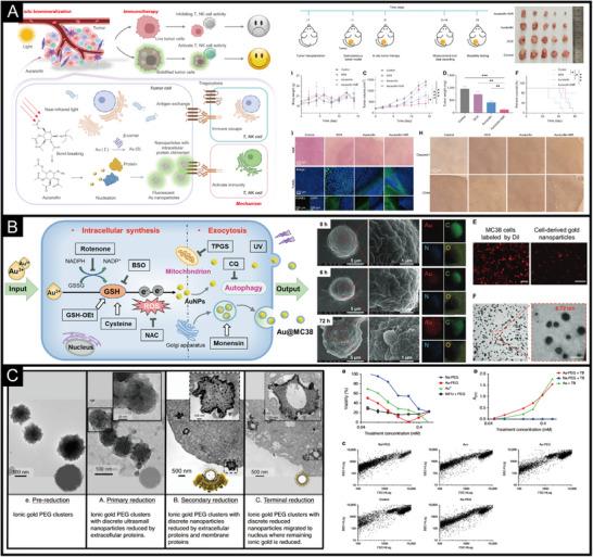 https://cdn.ncbi.nlm.nih.gov/pmc/blobs/02f1/12199438/55945d5109e3/EXP2-5-20240182-g008.jpg