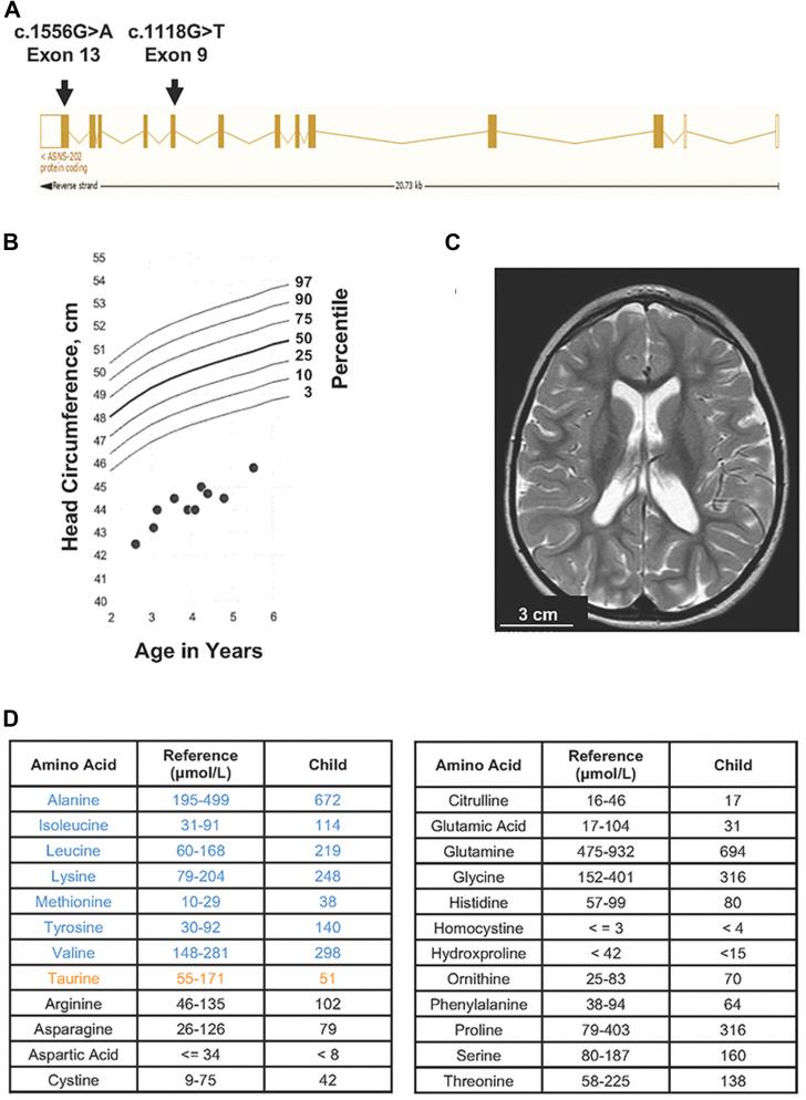 https://cdn.ncbi.nlm.nih.gov/pmc/blobs/02f1/9478401/06386c4a99a3/gr1.jpg