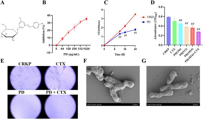 https://cdn.ncbi.nlm.nih.gov/pmc/blobs/02f2/10584862/a1457a390904/41598_2023_44836_Fig1_HTML.jpg