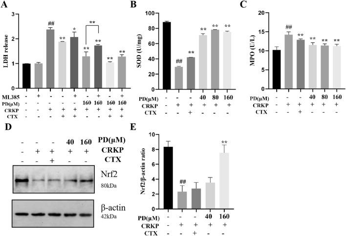https://cdn.ncbi.nlm.nih.gov/pmc/blobs/02f2/10584862/b95eb557de81/41598_2023_44836_Fig8_HTML.jpg