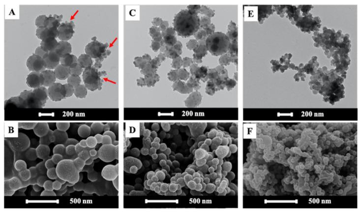 https://cdn.ncbi.nlm.nih.gov/pmc/blobs/02f3/8347249/1bcc2f098a02/polymers-13-02526-g002.jpg