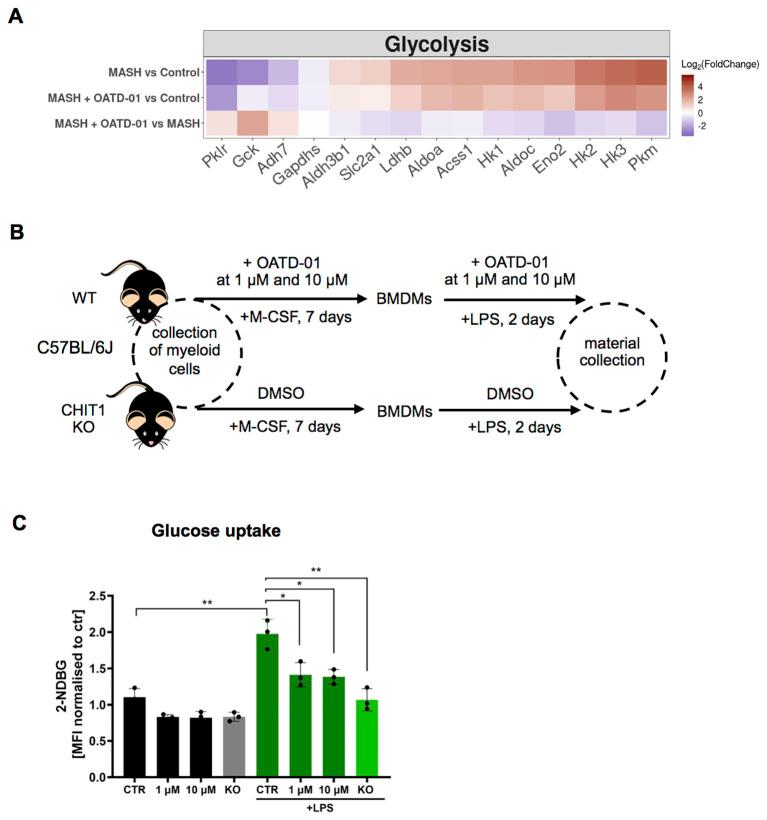 https://cdn.ncbi.nlm.nih.gov/pmc/blobs/02f4/12158736/e2d22a1d95b5/fimmu-16-1544973-g006.jpg