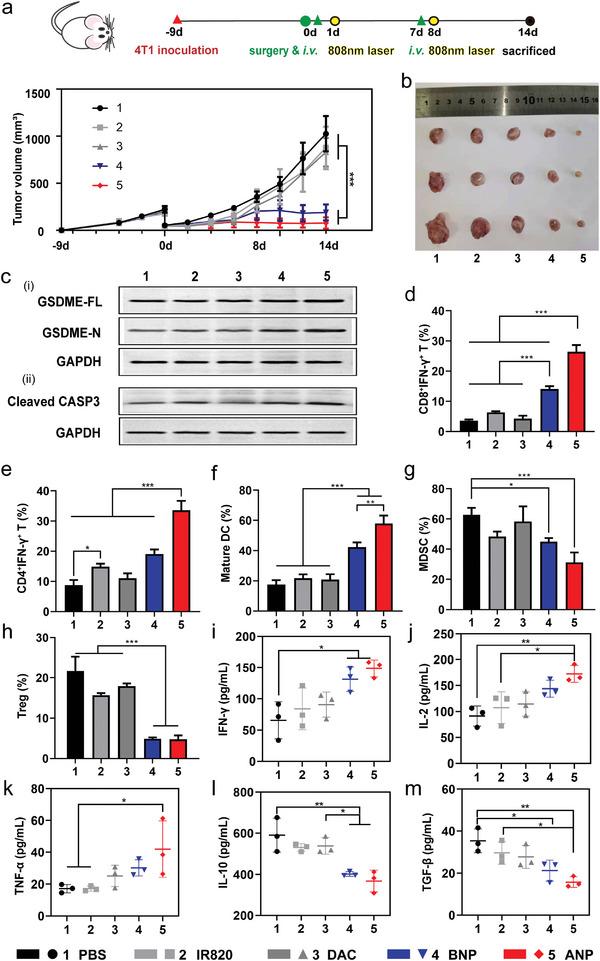 https://cdn.ncbi.nlm.nih.gov/pmc/blobs/02f5/10214253/2a1d2201cd44/ADVS-10-2207456-g001.jpg