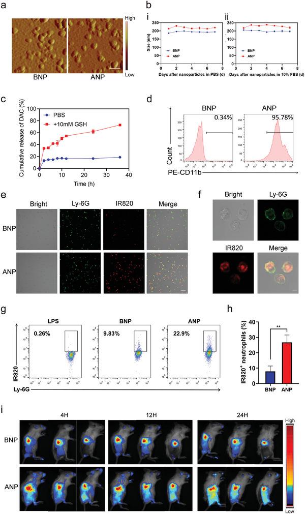 https://cdn.ncbi.nlm.nih.gov/pmc/blobs/02f5/10214253/a8c448f31269/ADVS-10-2207456-g002.jpg