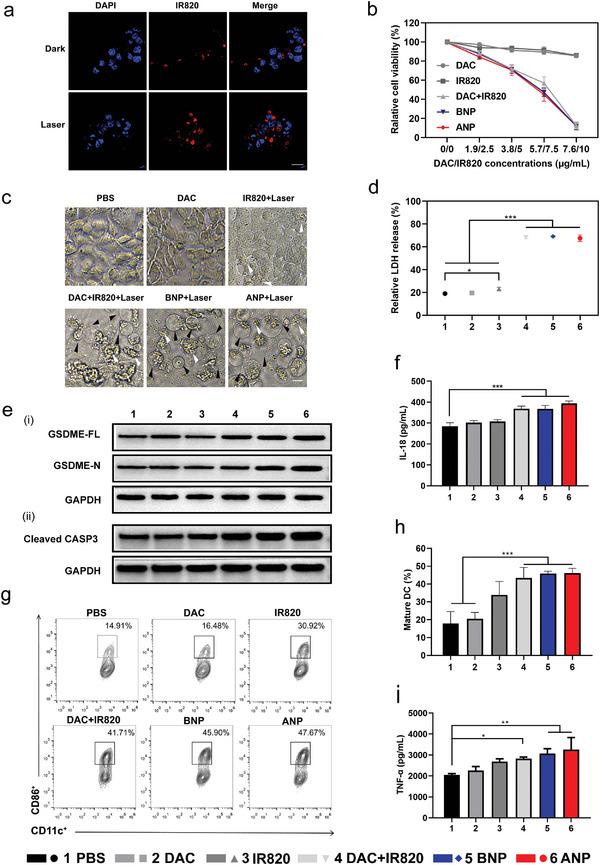 https://cdn.ncbi.nlm.nih.gov/pmc/blobs/02f5/10214253/d7a9dda1041e/ADVS-10-2207456-g005.jpg