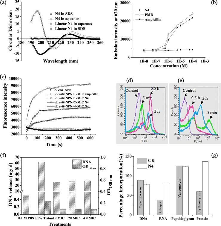 https://cdn.ncbi.nlm.nih.gov/pmc/blobs/02f6/5192121/26d33f31a444/zac0011758050001.jpg