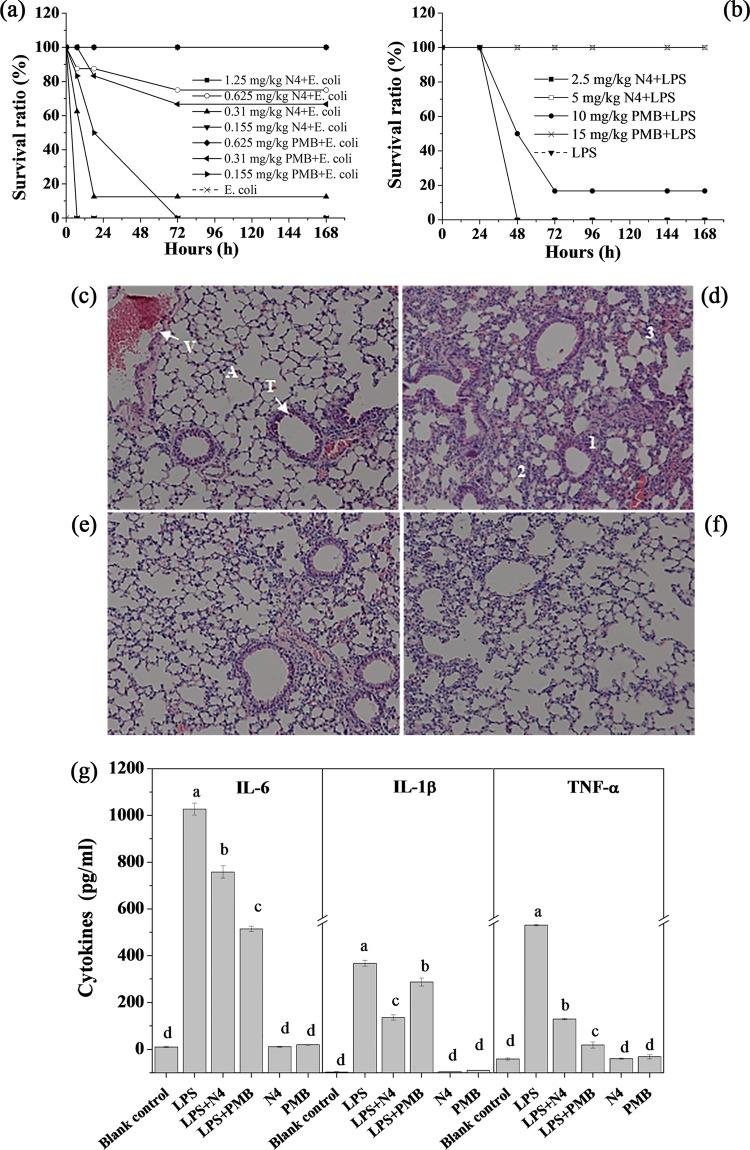 https://cdn.ncbi.nlm.nih.gov/pmc/blobs/02f6/5192121/6ab842c301b3/zac0011758050005.jpg