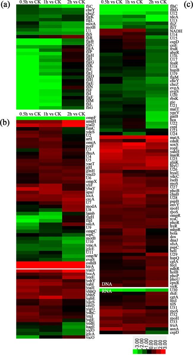 https://cdn.ncbi.nlm.nih.gov/pmc/blobs/02f6/5192121/bf57b0f6f6e2/zac0011758050004.jpg