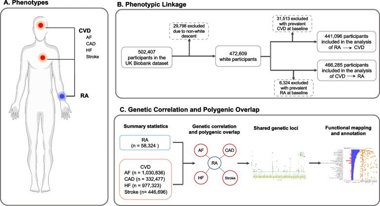 https://cdn.ncbi.nlm.nih.gov/pmc/blobs/02f7/11003061/386f5e491813/12916_2024_3376_Fig1_HTML.jpg