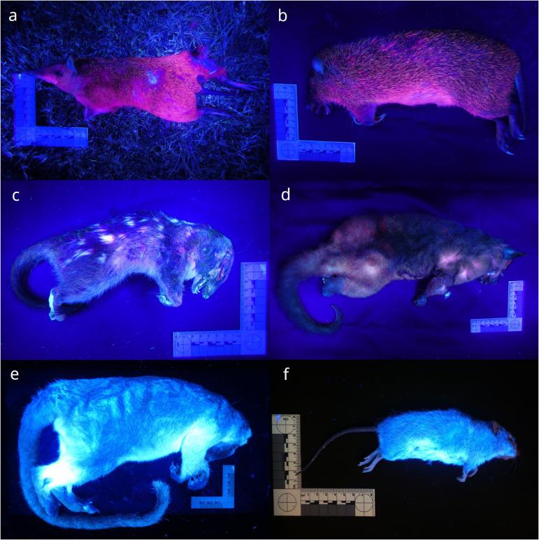 https://cdn.ncbi.nlm.nih.gov/pmc/blobs/02f7/12043139/33234fa40833/pone.0320432.g003.jpg