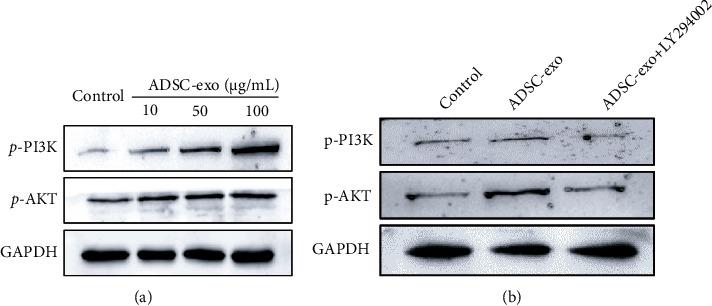 https://cdn.ncbi.nlm.nih.gov/pmc/blobs/02f7/8536463/cd065384f4ba/SCI2021-2229477.006.jpg