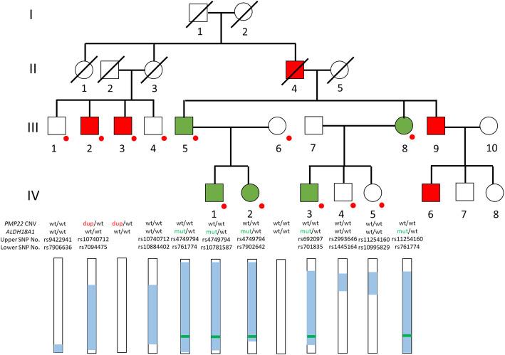 https://cdn.ncbi.nlm.nih.gov/pmc/blobs/02f8/7876803/e34b927d4b5a/12883_2021_2087_Fig1_HTML.jpg