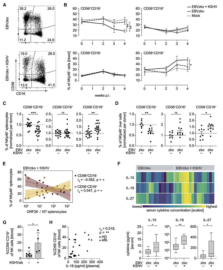 https://cdn.ncbi.nlm.nih.gov/pmc/blobs/02fc/10285879/7618e29735d4/nihms-1899420-f0002.jpg