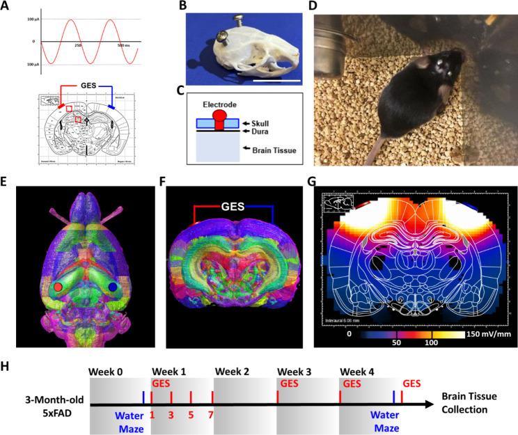 https://cdn.ncbi.nlm.nih.gov/pmc/blobs/02ff/10386209/cd564ae435da/13578_2023_1085_Fig1_HTML.jpg