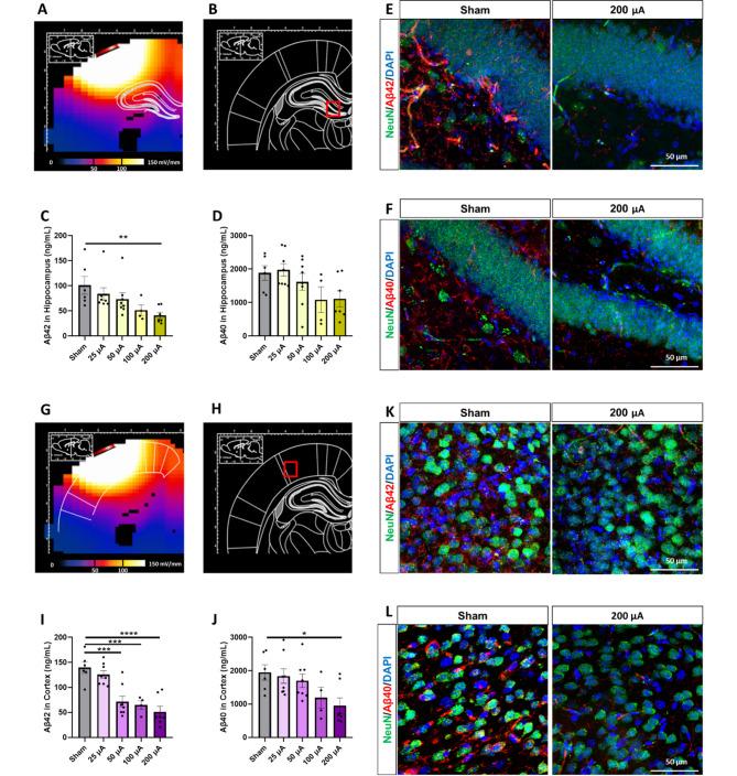 https://cdn.ncbi.nlm.nih.gov/pmc/blobs/02ff/10386209/f82890a10123/13578_2023_1085_Fig2_HTML.jpg