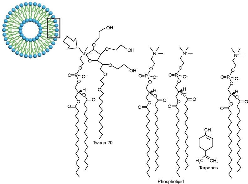 https://cdn.ncbi.nlm.nih.gov/pmc/blobs/02ff/4514352/bd8fec122d90/ijn-10-4581Fig3.jpg