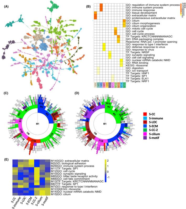 https://cdn.ncbi.nlm.nih.gov/pmc/blobs/0301/10068328/7e8c3cb6e4e4/FEB4-13-617-g003.jpg