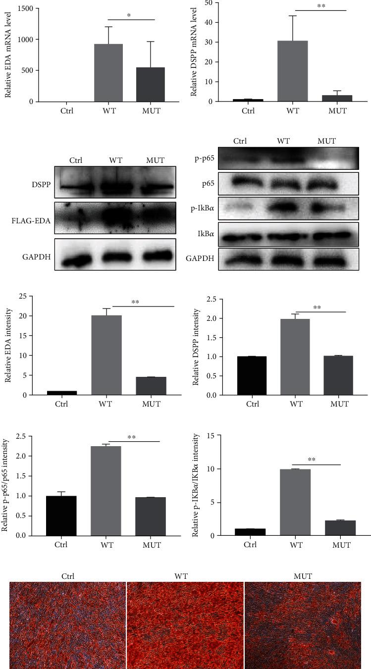 https://cdn.ncbi.nlm.nih.gov/pmc/blobs/0301/8449729/668ebb6cd3df/SCI2021-7653013.004.jpg