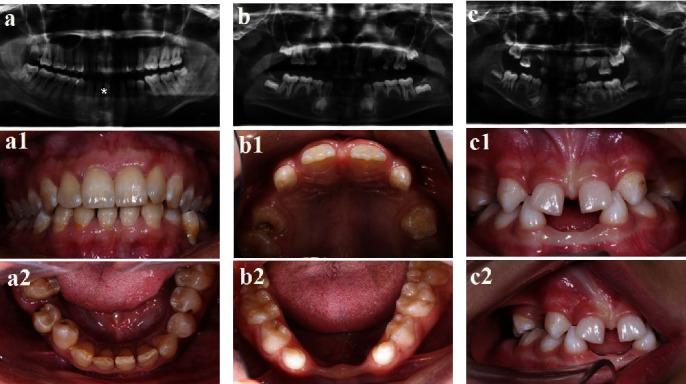 https://cdn.ncbi.nlm.nih.gov/pmc/blobs/0301/8449729/90378093148b/SCI2021-7653013.002.jpg