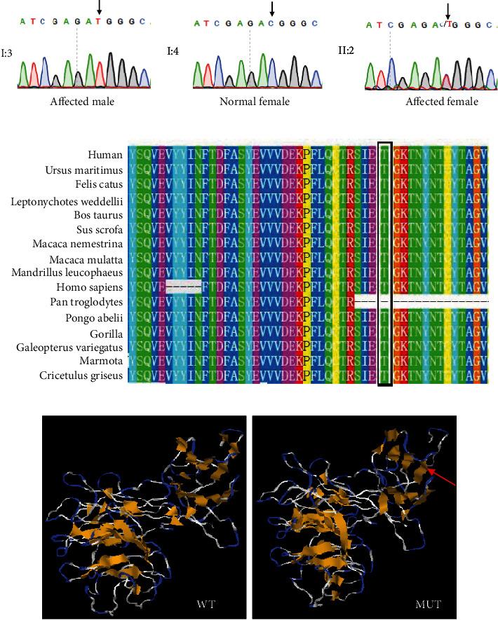https://cdn.ncbi.nlm.nih.gov/pmc/blobs/0301/8449729/cf6ace2a1671/SCI2021-7653013.003.jpg