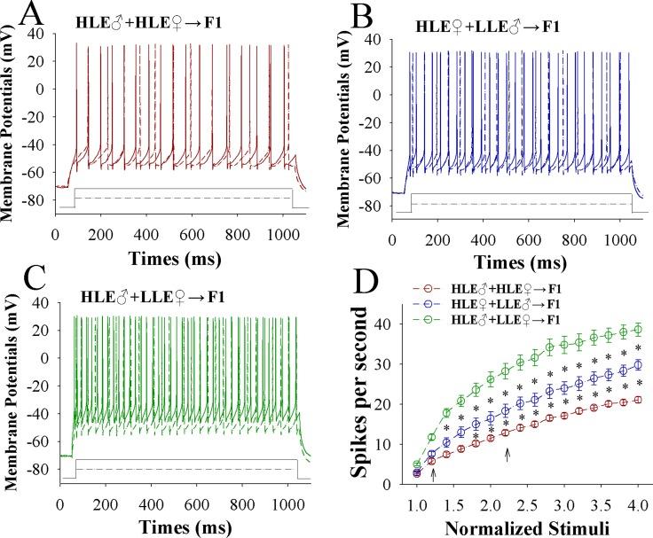 https://cdn.ncbi.nlm.nih.gov/pmc/blobs/0304/5762519/43a80cccb7a7/oncotarget-08-112401-g006.jpg