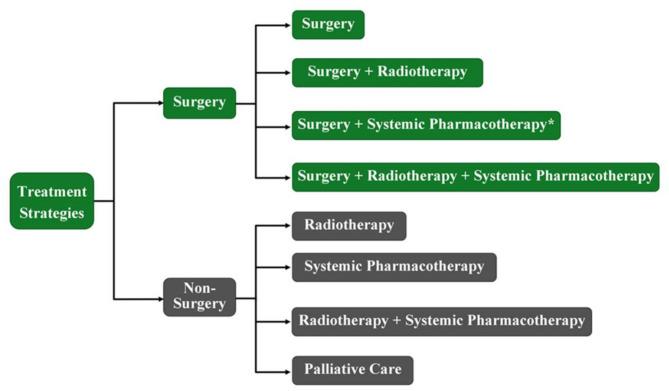 https://cdn.ncbi.nlm.nih.gov/pmc/blobs/0305/12150553/404ad55182a9/13027_2025_657_Fig1_HTML.jpg