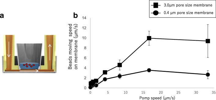 https://cdn.ncbi.nlm.nih.gov/pmc/blobs/0305/7422605/90aed1e66755/42490_2019_17_Fig3_HTML.jpg