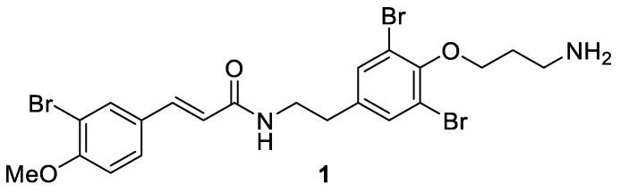 https://cdn.ncbi.nlm.nih.gov/pmc/blobs/0306/10381277/9435c73b6114/marinedrugs-21-00402-g002.jpg