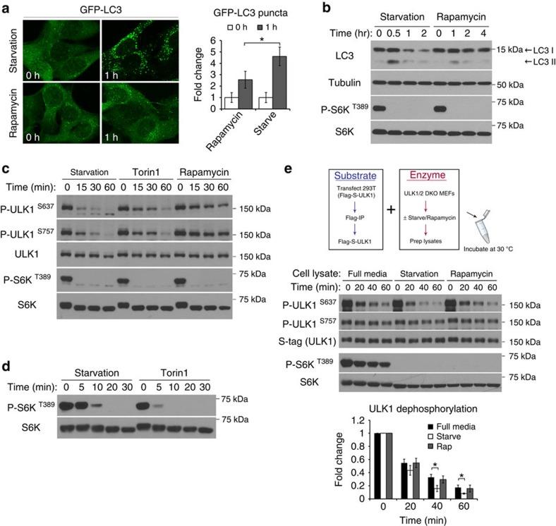 https://cdn.ncbi.nlm.nih.gov/pmc/blobs/0306/4560782/ba280ff22fd3/ncomms9048-f1.jpg