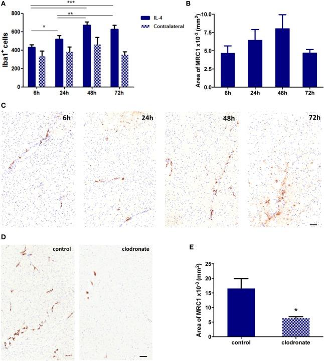 https://cdn.ncbi.nlm.nih.gov/pmc/blobs/0306/5670100/8ee9fd4f9a51/fonc-07-00251-g005.jpg
