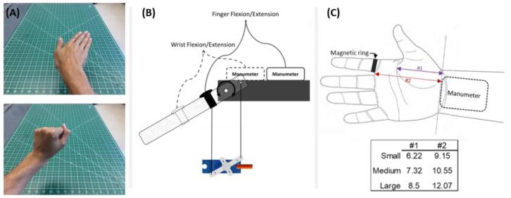 https://cdn.ncbi.nlm.nih.gov/pmc/blobs/0307/7926537/0415379ba385/sensors-21-01502-g003.jpg
