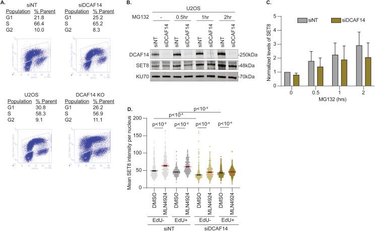 https://cdn.ncbi.nlm.nih.gov/pmc/blobs/0308/10631547/2a81f765a56d/LSA-2023-02230_FigS1.jpg