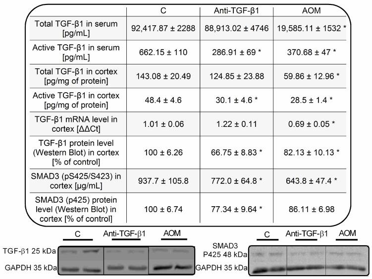 https://cdn.ncbi.nlm.nih.gov/pmc/blobs/030b/8835518/df7467a4604b/ijms-23-01081-g003.jpg
