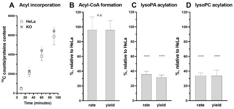 https://cdn.ncbi.nlm.nih.gov/pmc/blobs/030f/9775454/3338c334ffc4/biomolecules-12-01726-g006.jpg