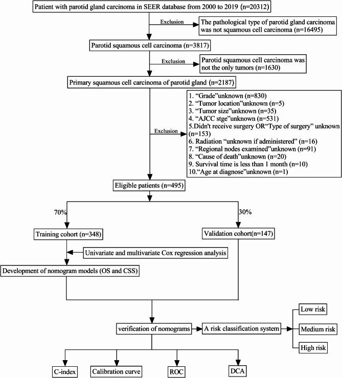 https://cdn.ncbi.nlm.nih.gov/pmc/blobs/0310/11861303/27ff549263e1/41598_2025_90480_Fig1_HTML.jpg