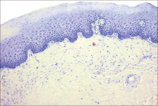 https://cdn.ncbi.nlm.nih.gov/pmc/blobs/0312/8083413/6d2a84efe98e/JOMFP-24-580-g002.jpg